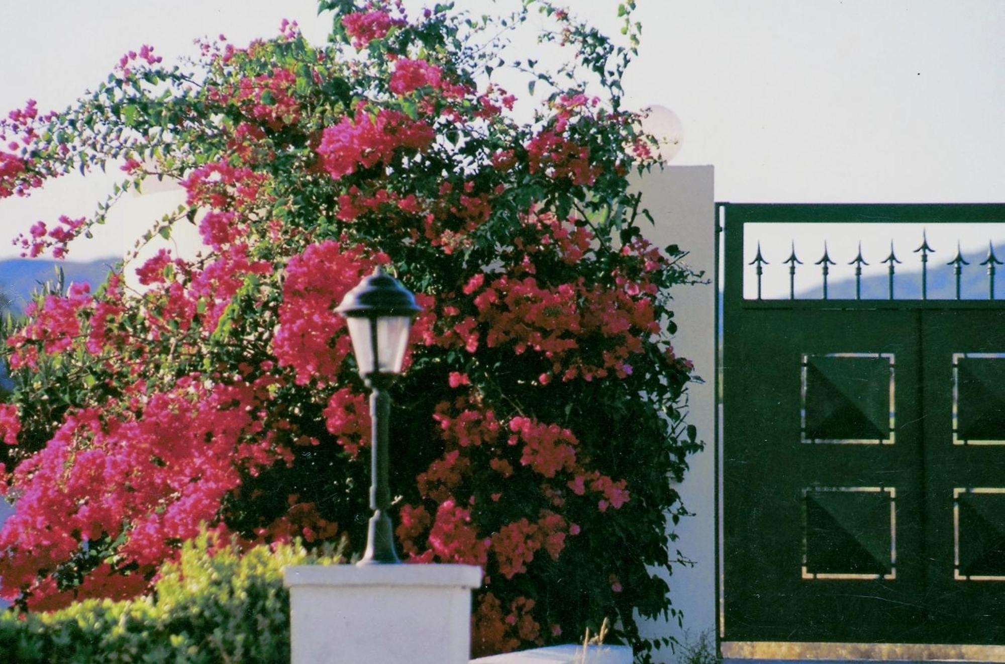 Beachfront Villa Rhodes Seashell Gennadi Luaran gambar